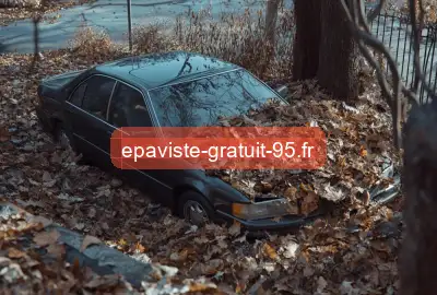 épaviste gratuit